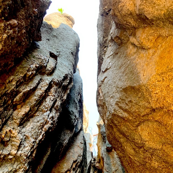 Meet your Posher, Paulette - Picture 1 of 1